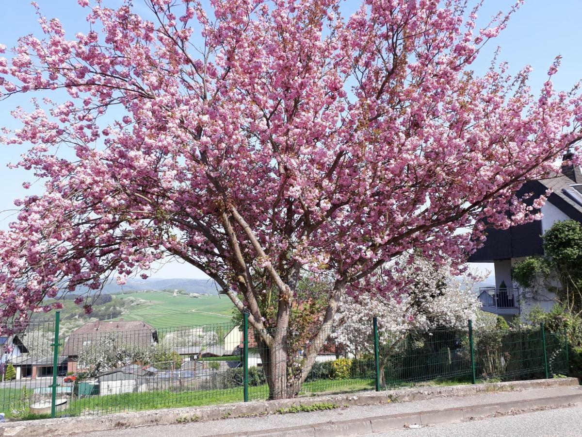 Appartement Haus Der Rosen à Boppard Extérieur photo
